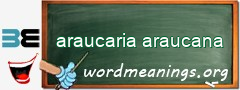 WordMeaning blackboard for araucaria araucana